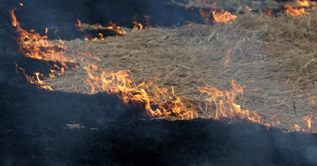 انڈین پنجاب میں فصلوں کی باقیات جلانا لاہور میں سموگ کا سبب