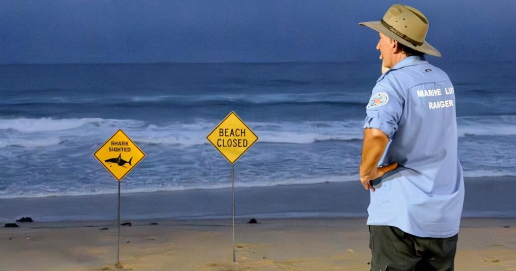 آسٹریلیا میں 48 گھنٹوں میں چوتھے شارک حملے کے بعد درجنوں ساحل بند